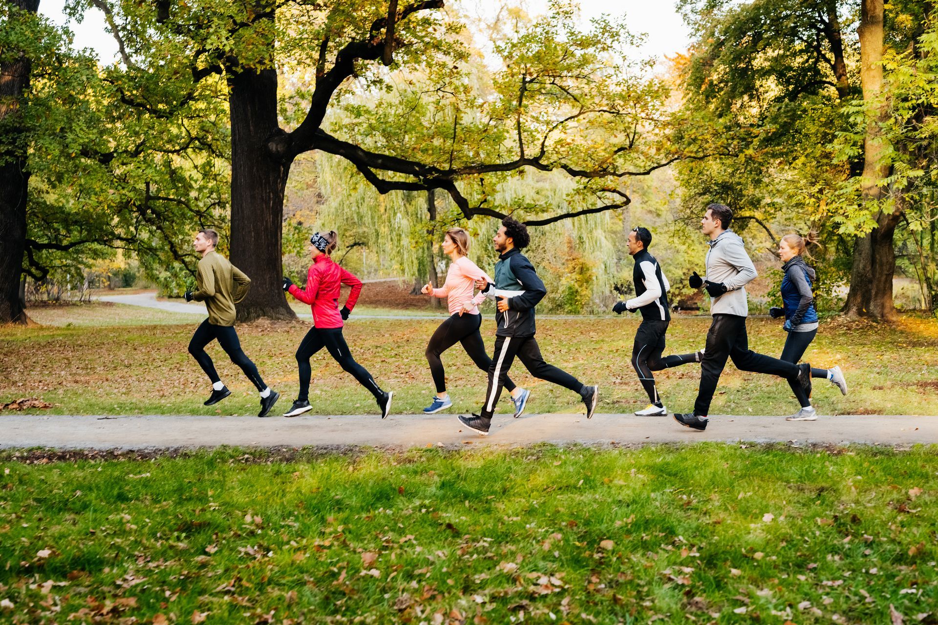 A group of runners in athletic wear, running on a path through a park with fall foliage.