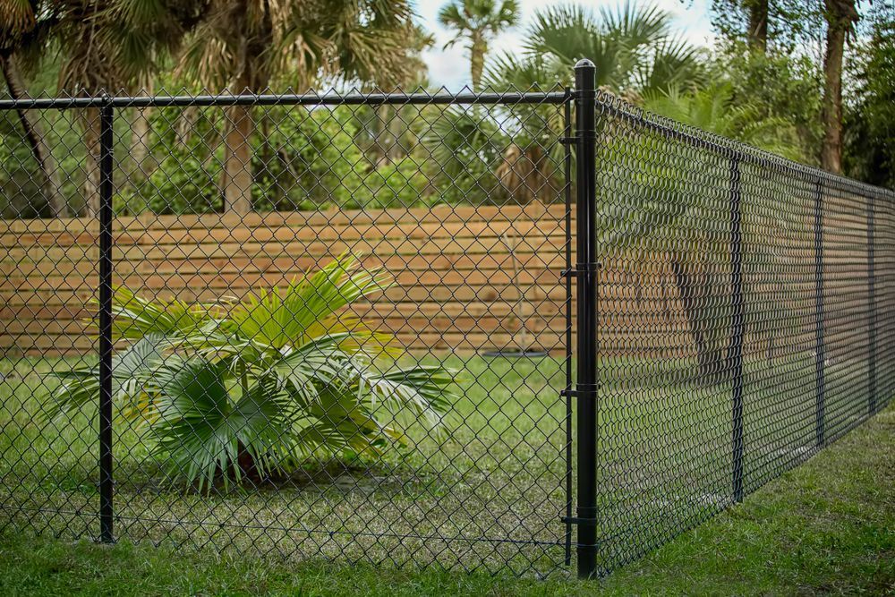 A chain link fence surrounds a lush green yard.