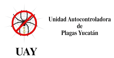 UAY
