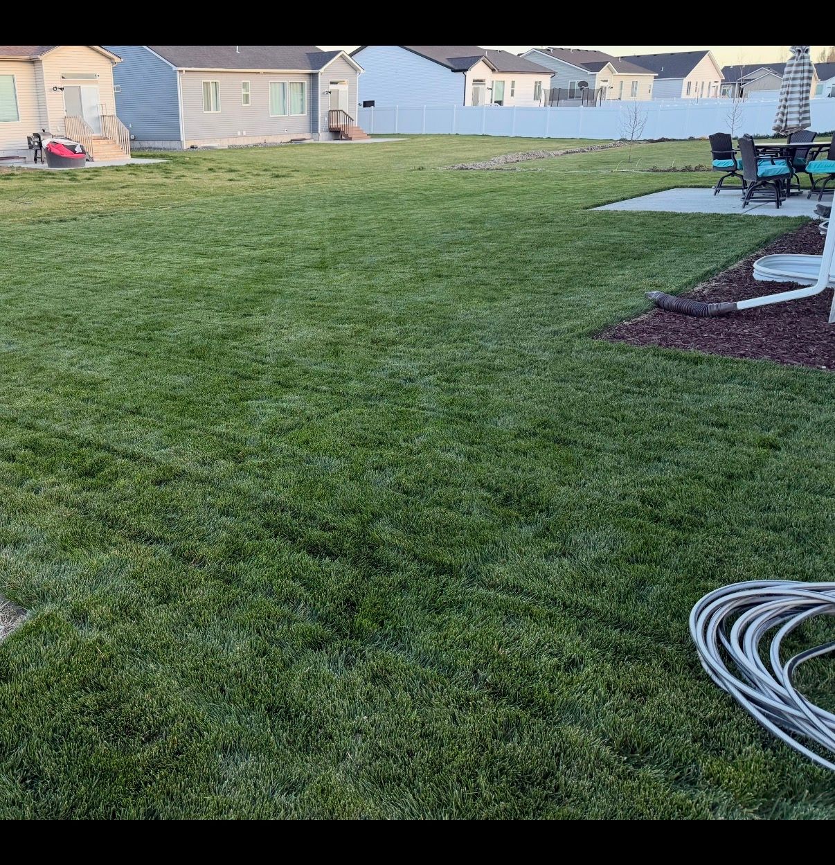 Suburban backyard lawn with patio chairs and a coiled hose in the foreground