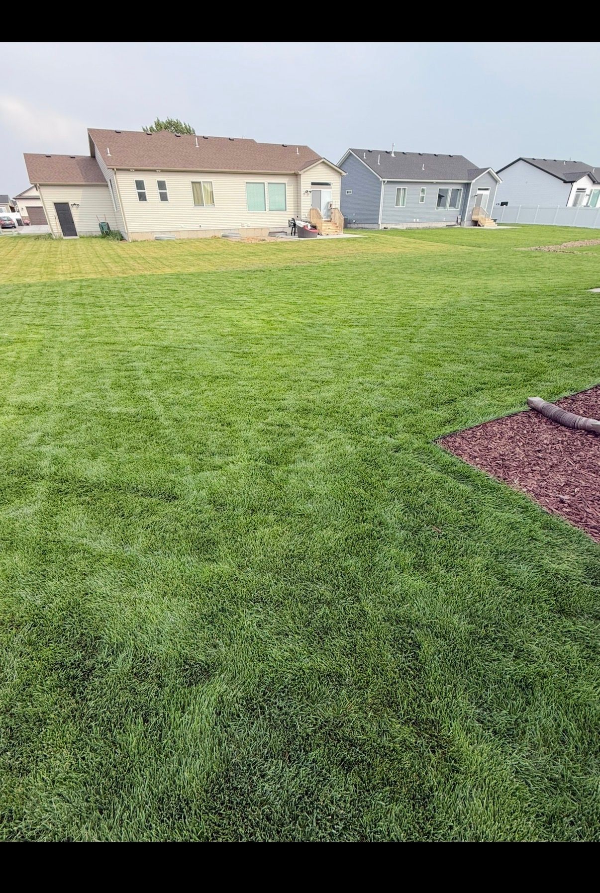 Suburban backyard with green lawn and row of houses under a cloudy sky