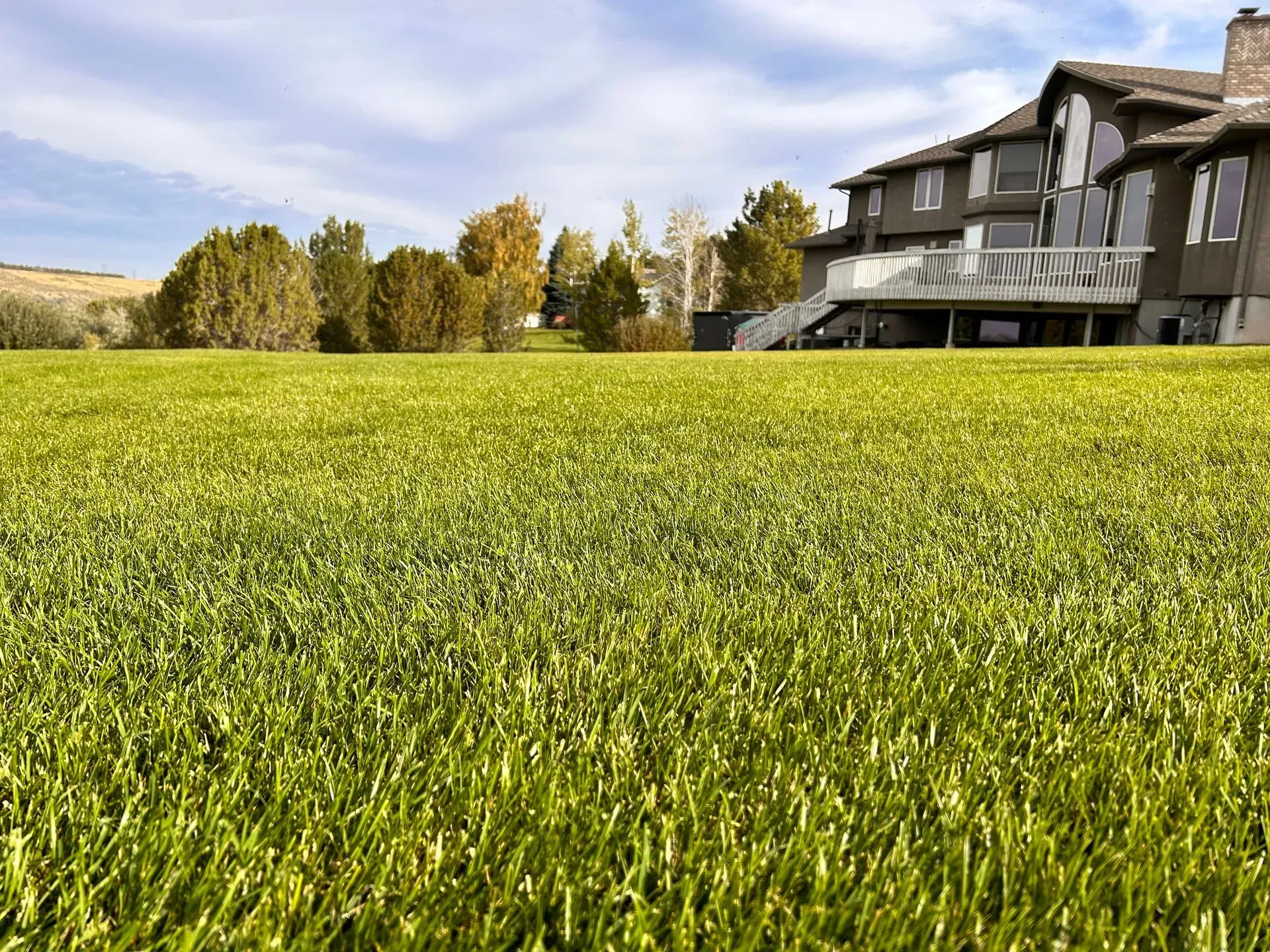 A large house is sitting on top of a lush green field.