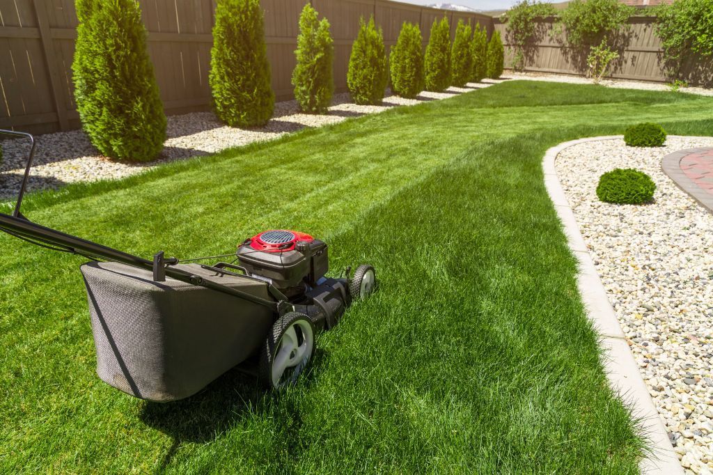7 Benefits of Organic Lawn Care