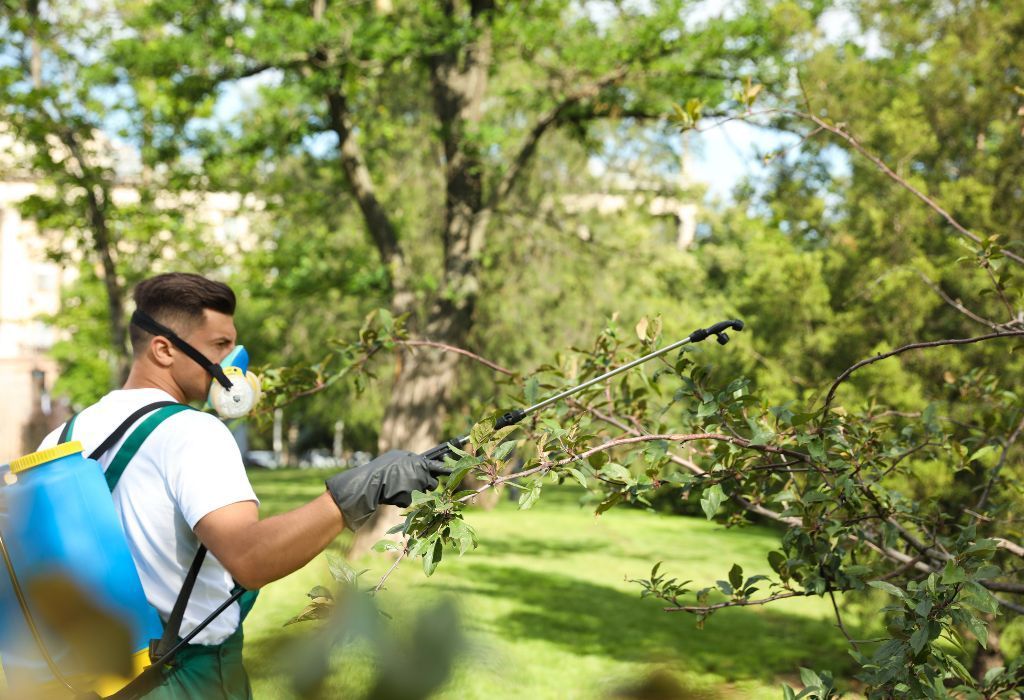 pest control Burley ID