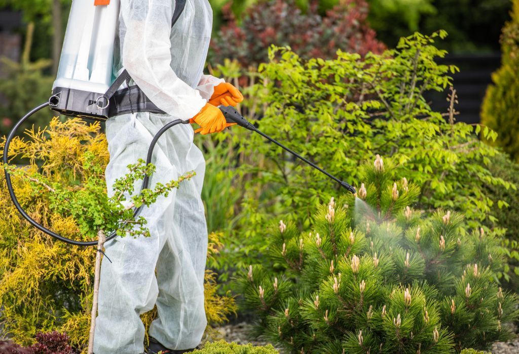 pest control in Firth Idaho