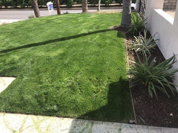 Green lawn next to a brown planter with plants, bordering a white building and sidewalk.