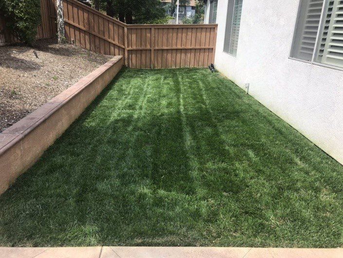 Green lawn between a brown fence and white wall.