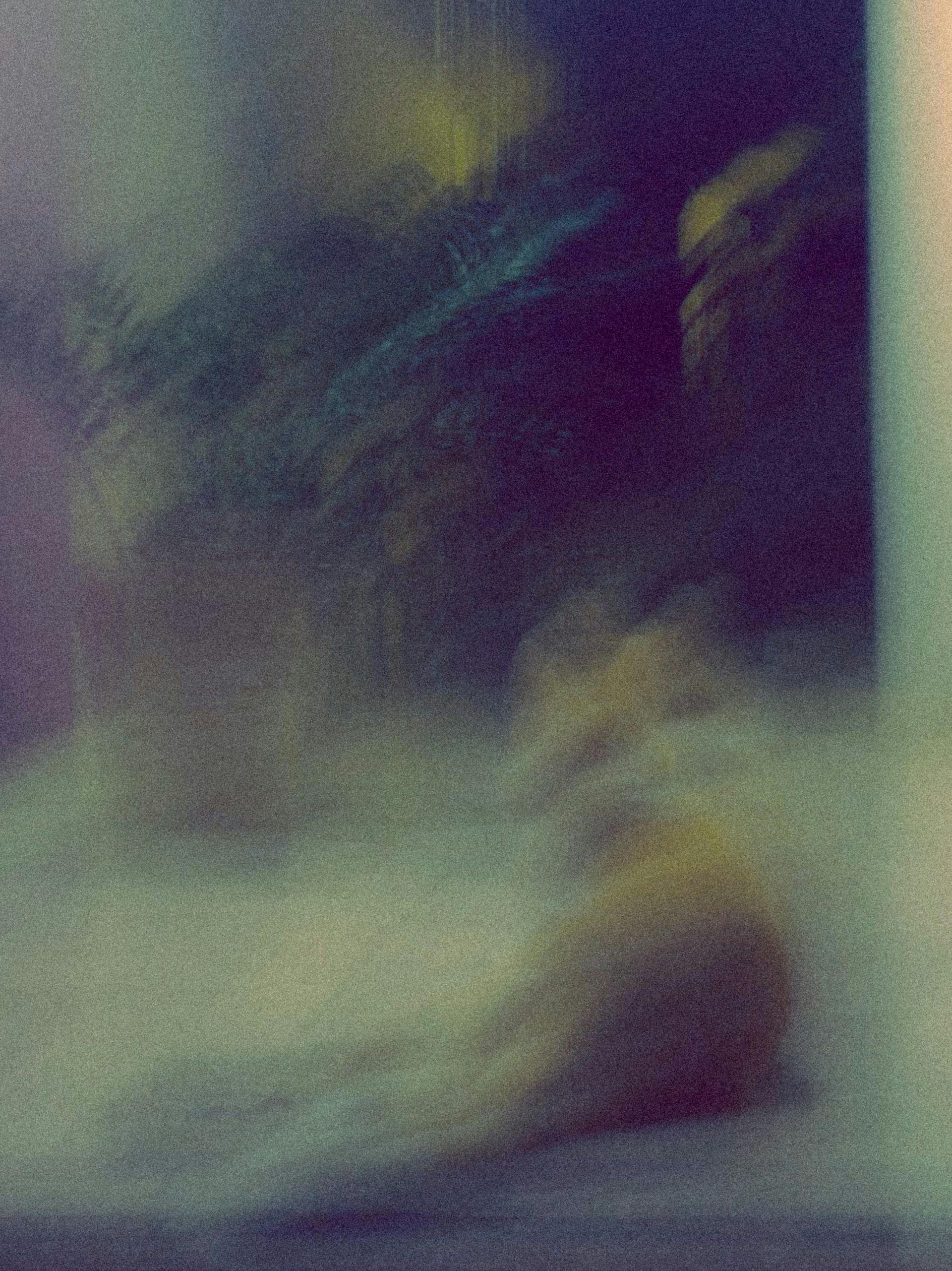 A blurry picture of a person standing in front of a window.