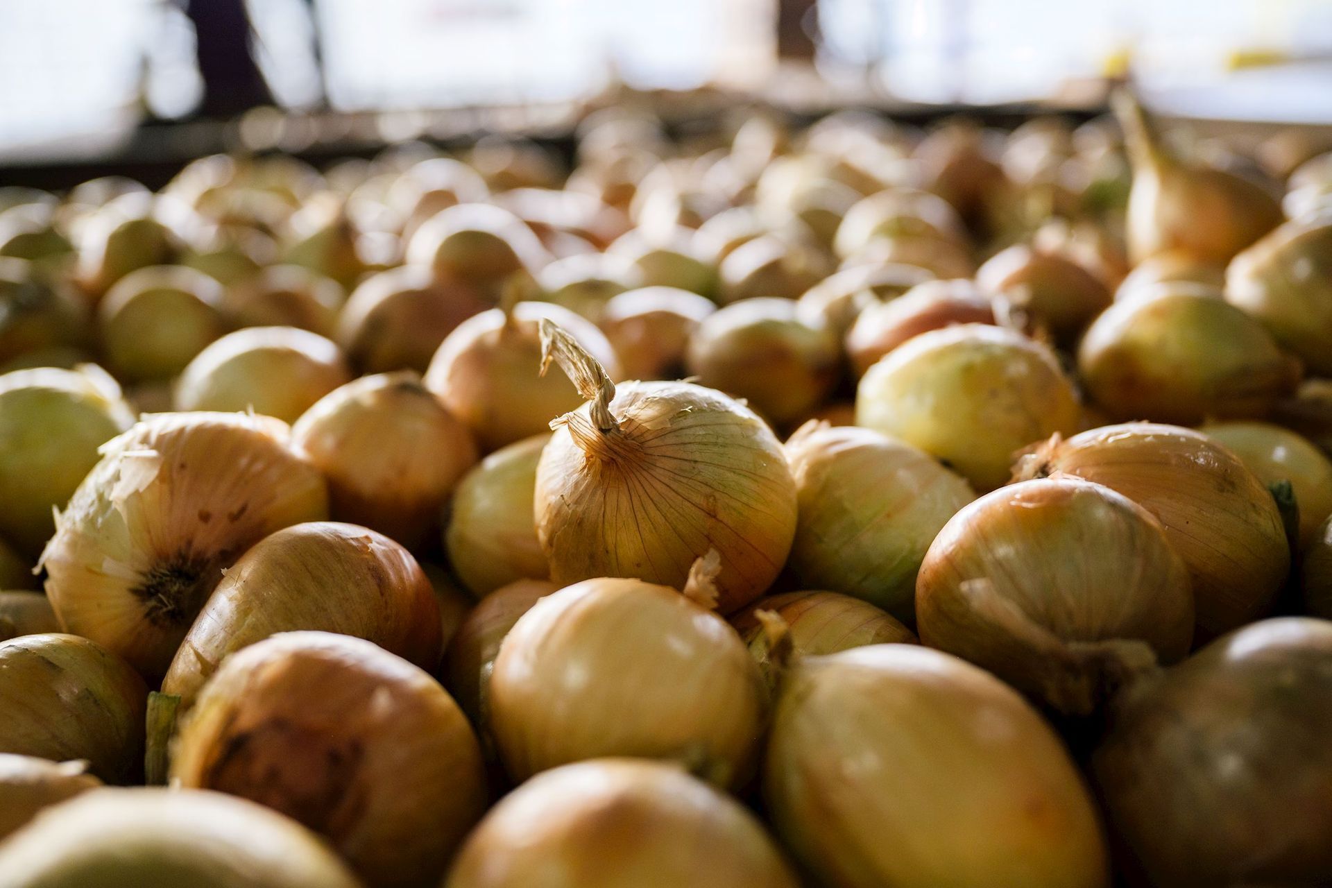 A pile of onions sitting on top of each other.