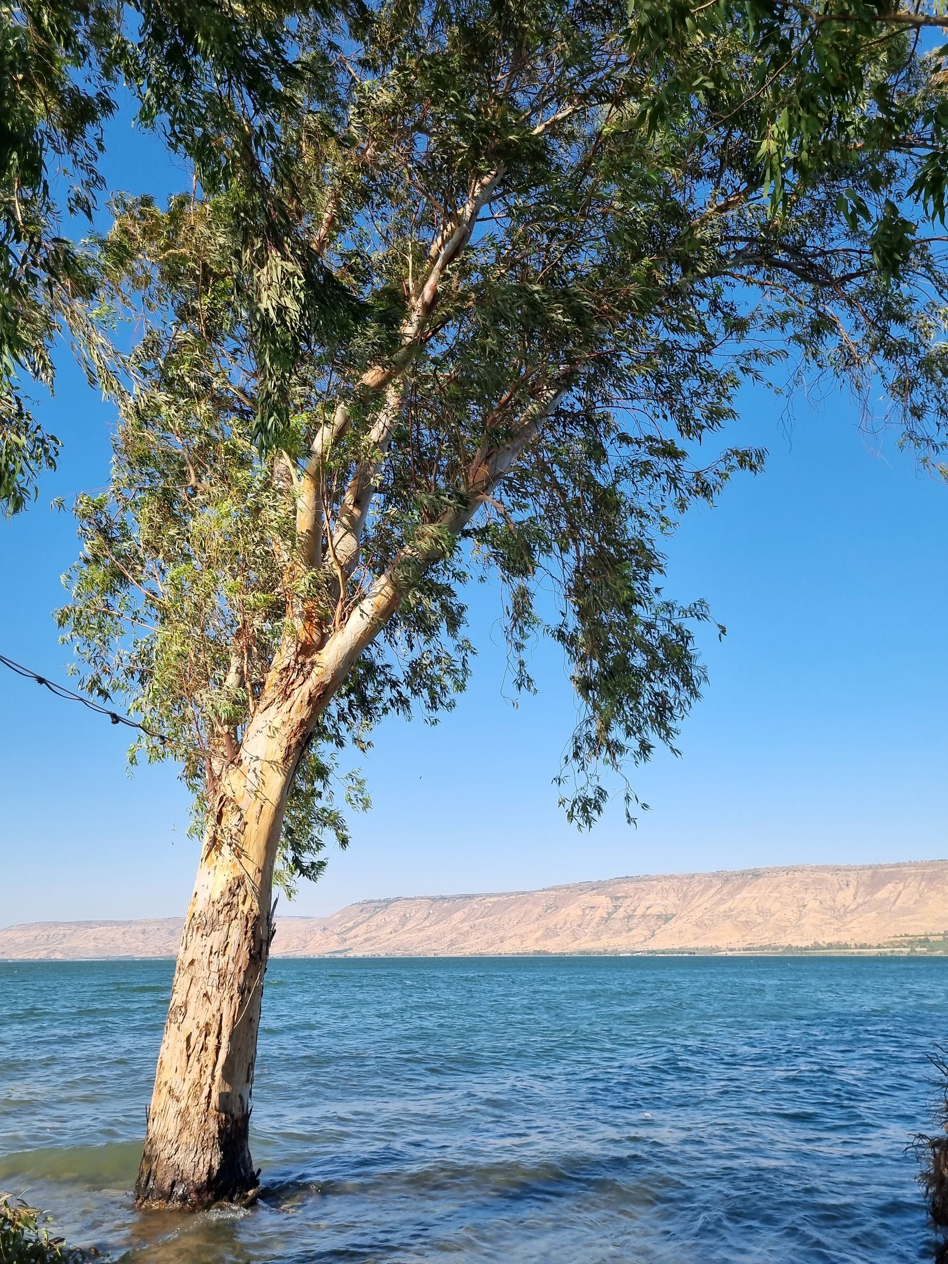 המצלמה שלי מתרגשת וככה מתחילה סדנת צילום