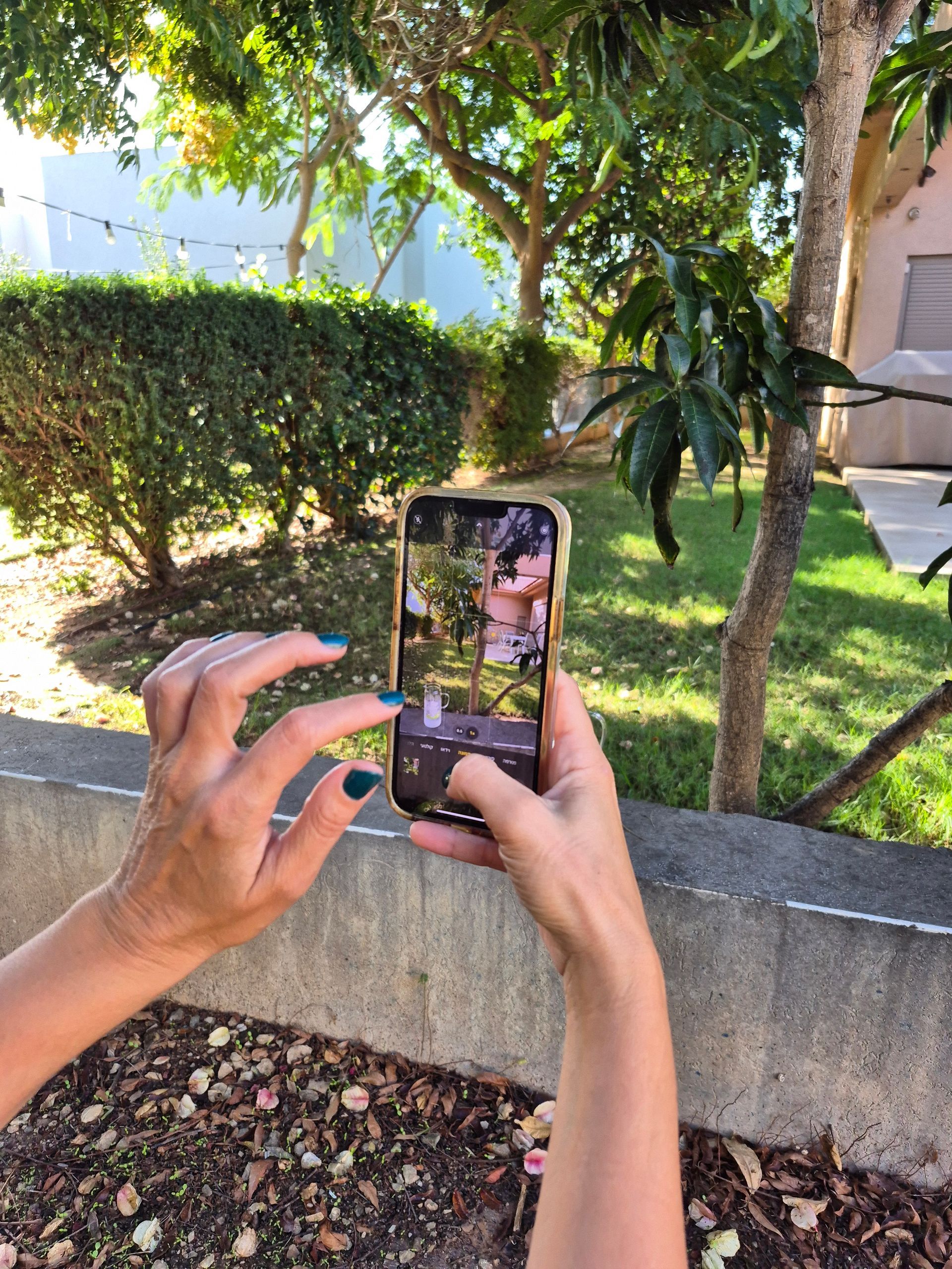 סדנת צילום בסלולרי; סדנת צילום בסמרטפון ;סדנת צילום בדרום ; סדנת צילום לארגונים ;סדנת צילום פרטית