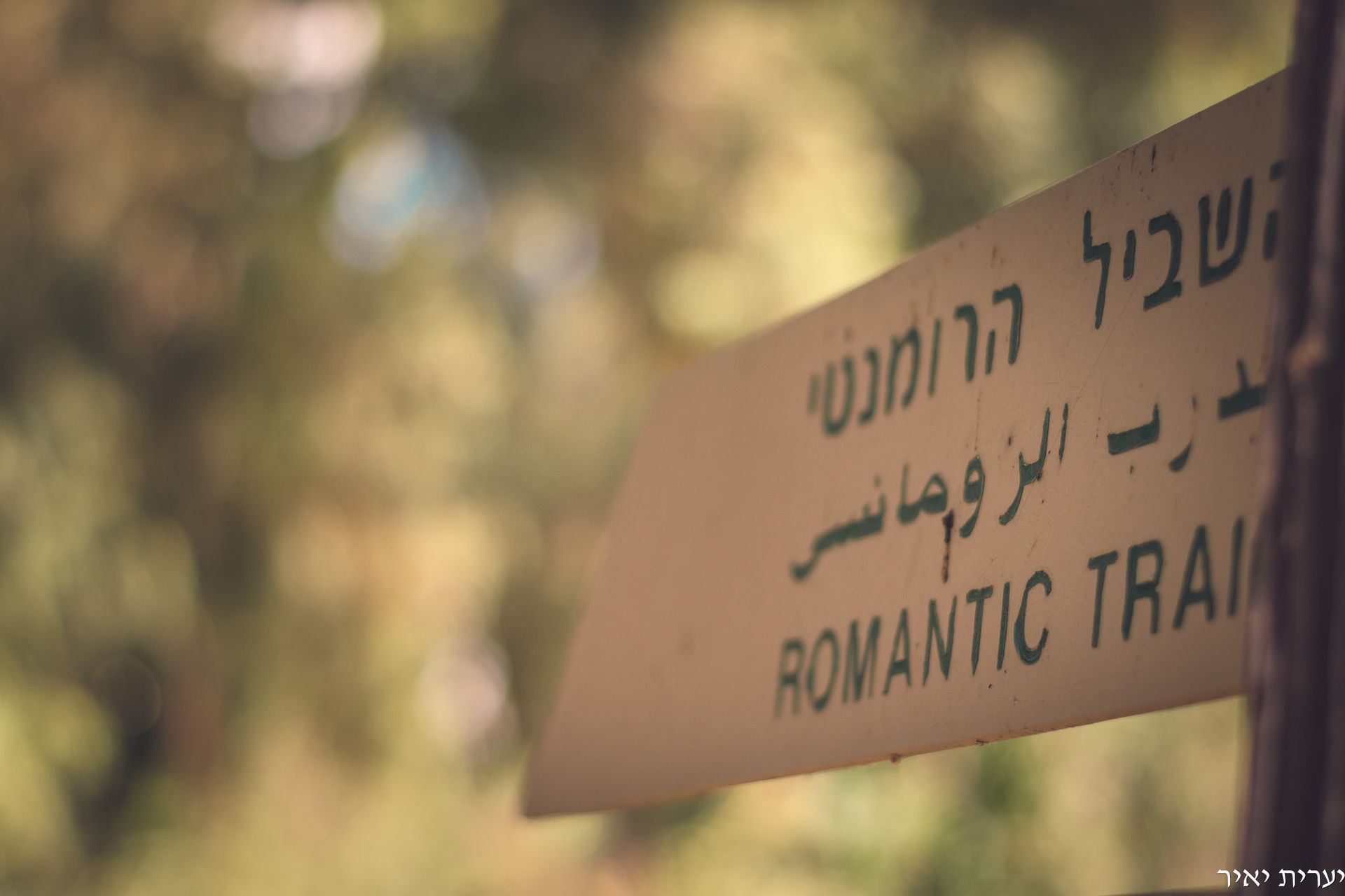 המצלמה שלי מתרגשת וככה מתחילה סדנת צילום