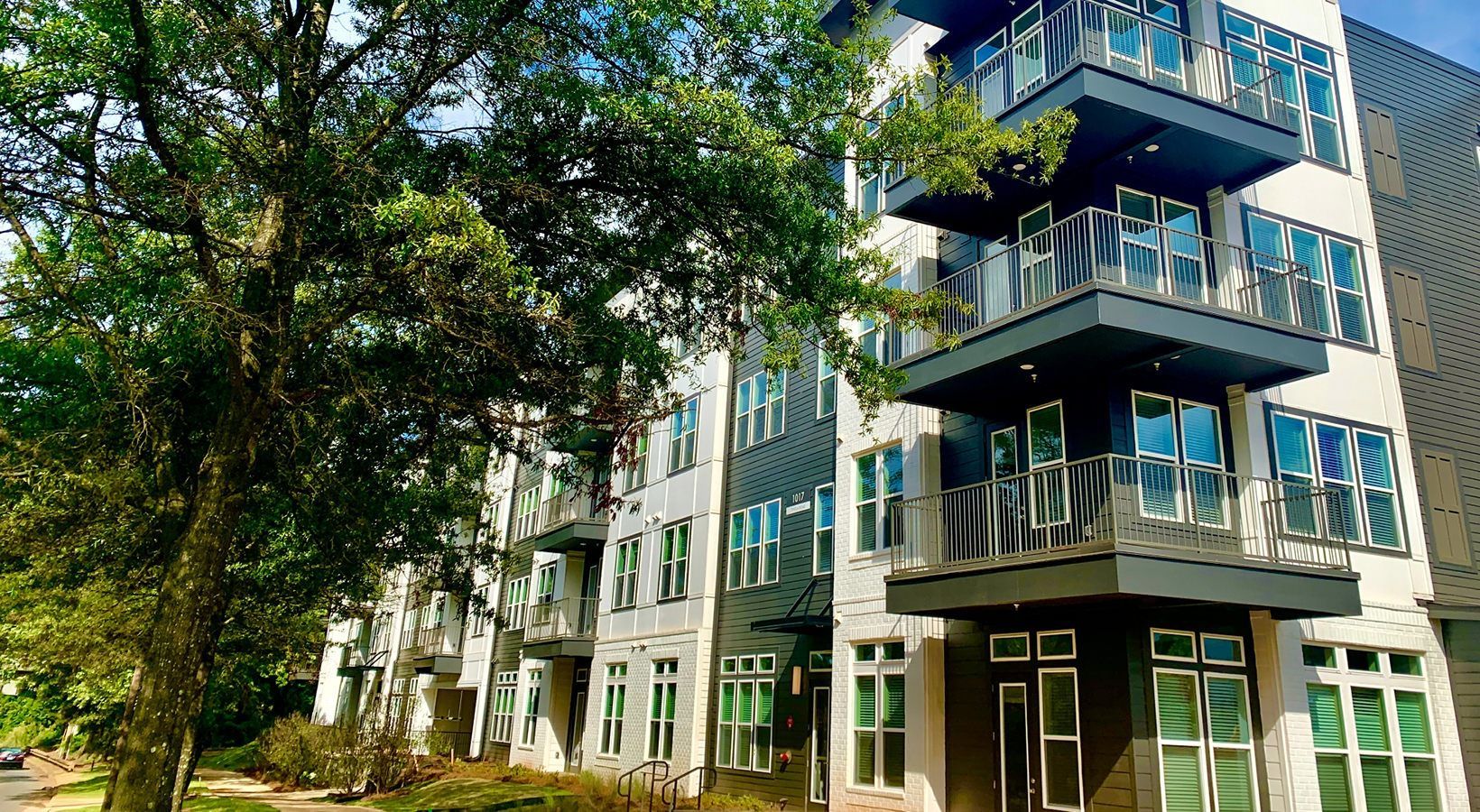 Modern multi-story apartment building with staggered balconies and large tree in front.