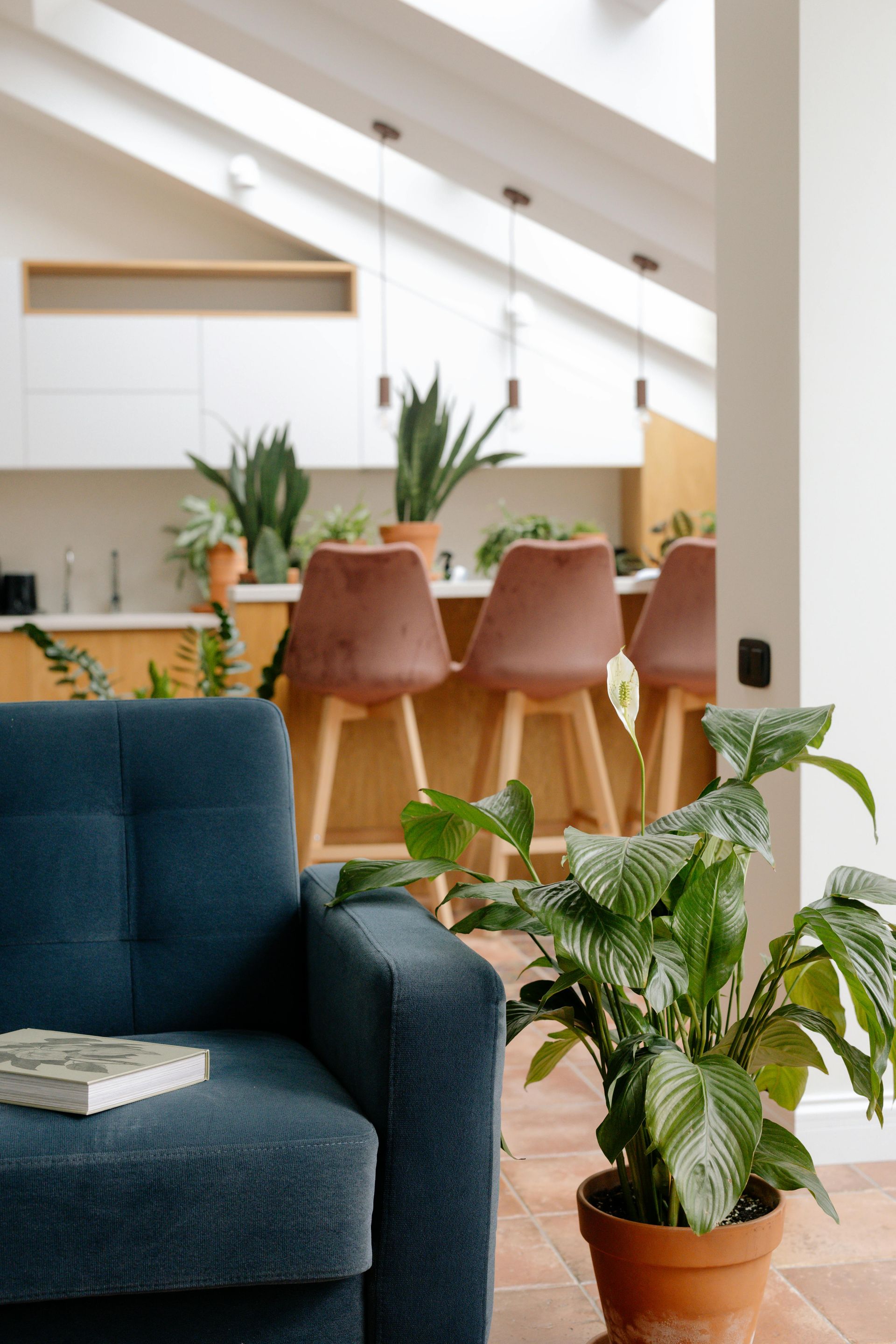 A living room with a blue chair and a potted plant.