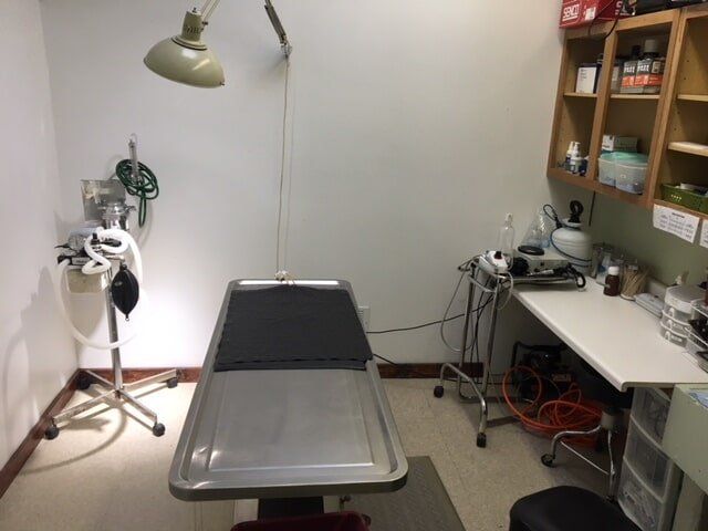Wide Bed For Pet | Albuquerque, NM | St. Francis Animal Clinic
