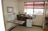 Check Up Room | Albuquerque, NM | St. Francis Animal Clinic