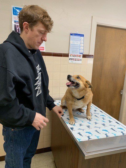 Dog And Man | Albuquerque, NM | St. Francis Animal Clinic