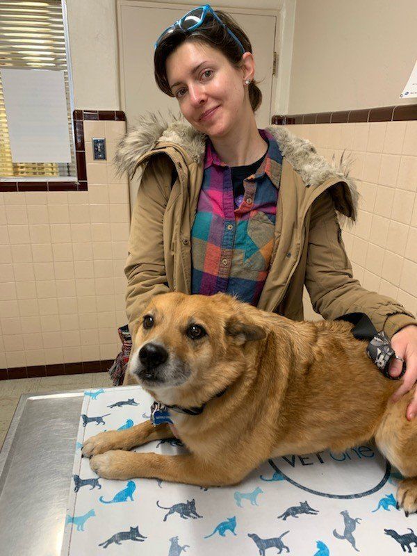 Dog And Pet Owner | Albuquerque, NM | St. Francis Animal Clinic