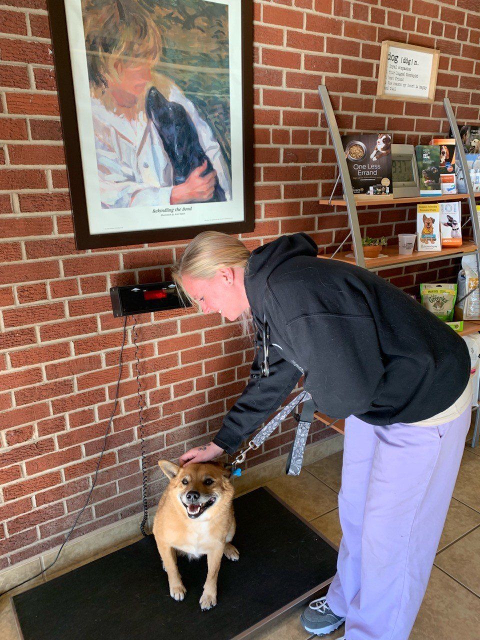 Pet Owner With Her Dog | Albuquerque, NM | St. Francis Animal Clinic