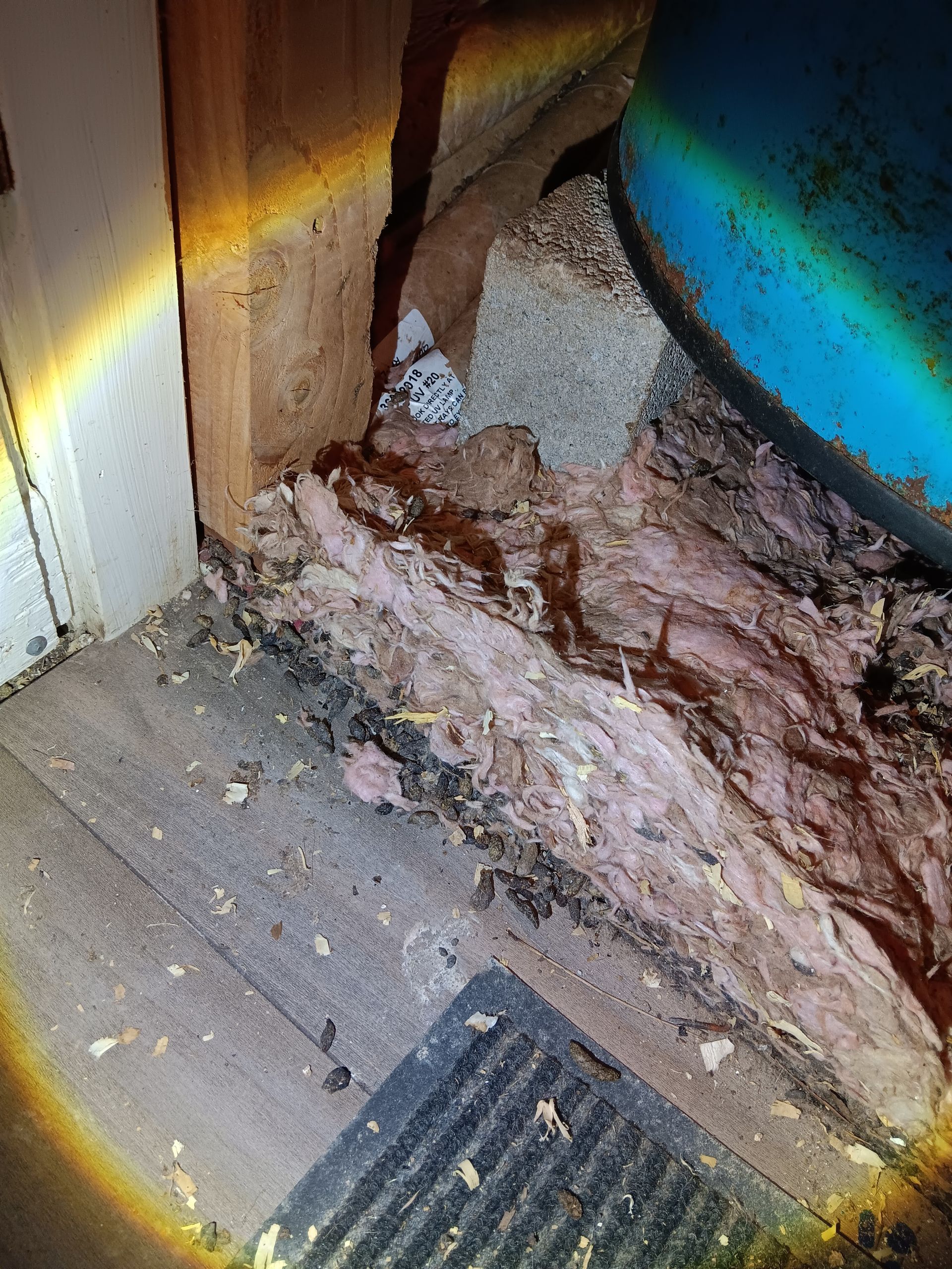 OutLook Pest Management providing professional pest control services for ants, rodents, and common pests in Clackamas, Oregon. Rat droppings inside a water heater room.