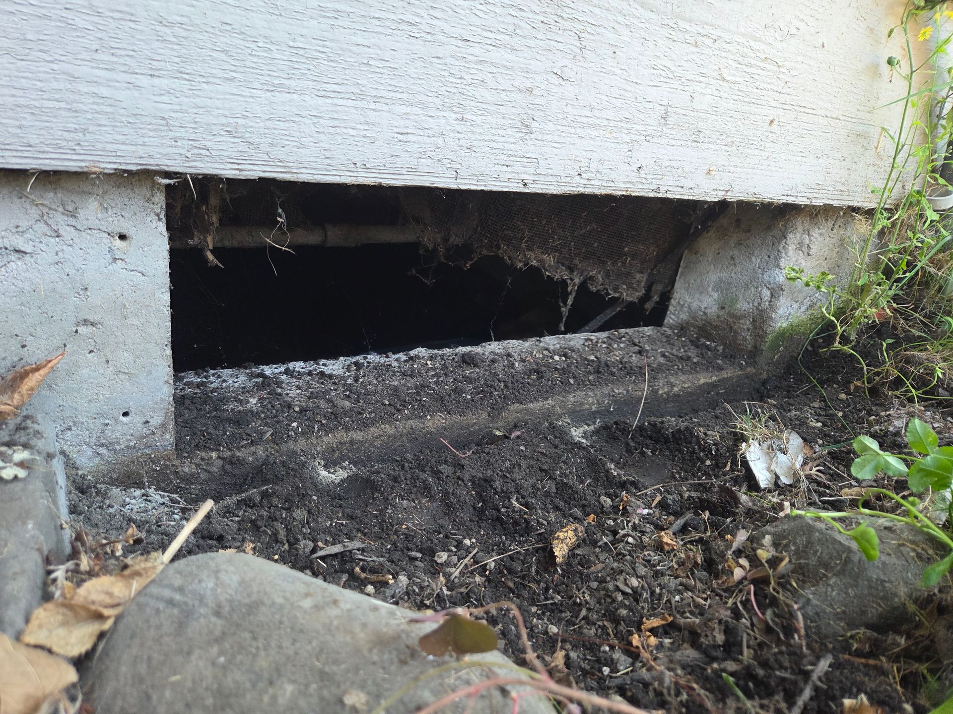 Broken vent screen on foudn ation at a Canby home