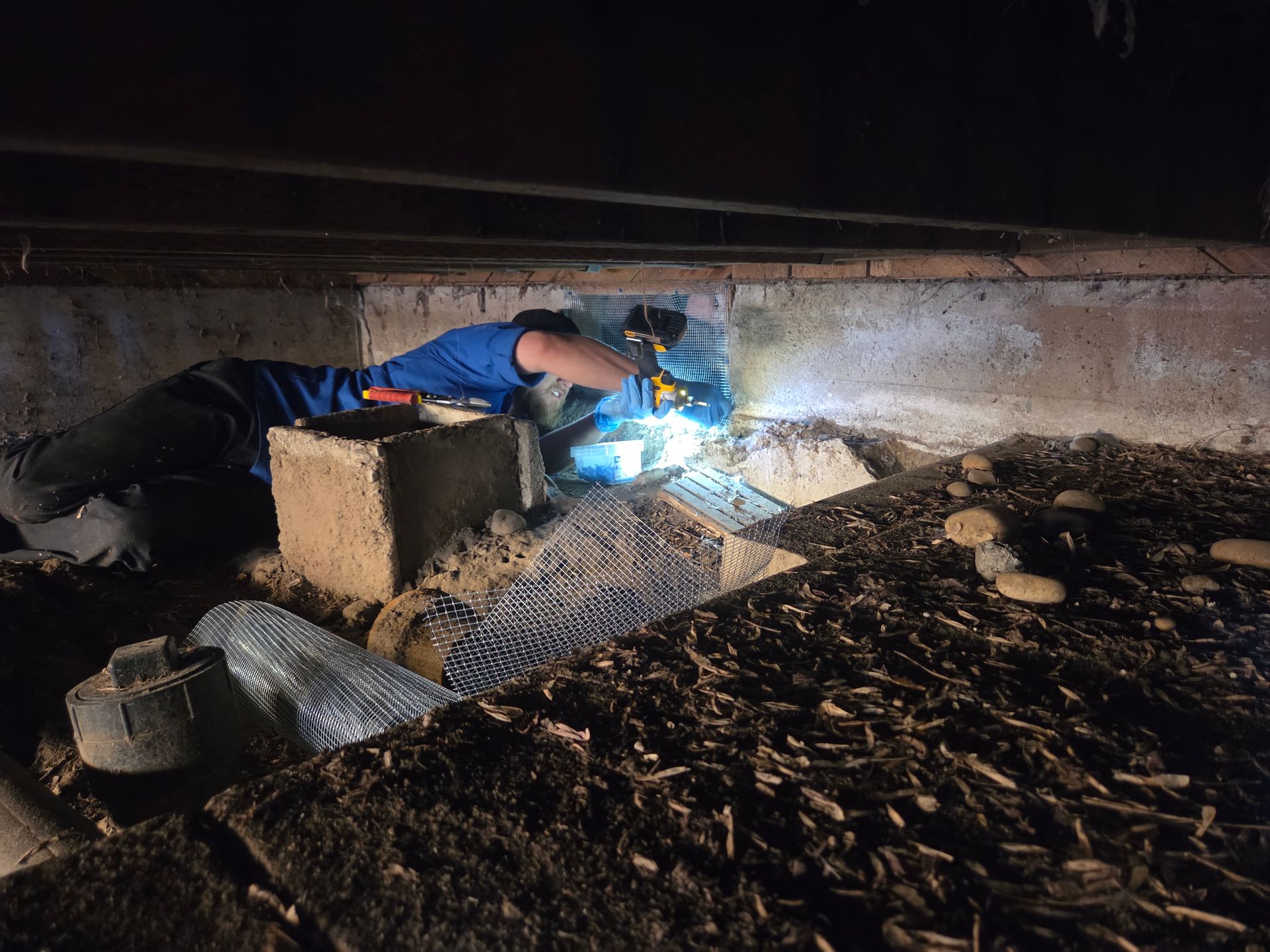 Pest control technician sealing up a rodent entry point.