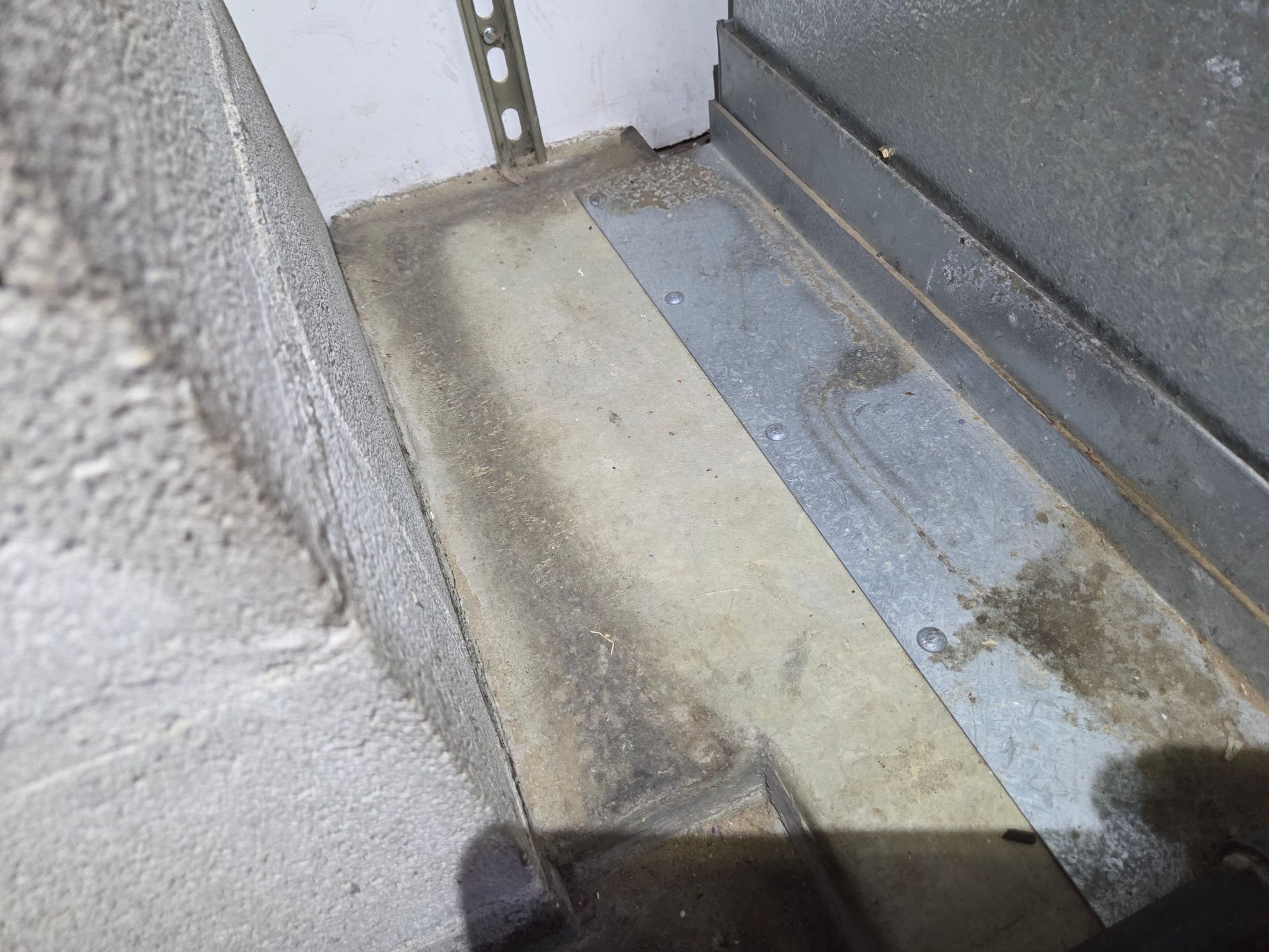 Rodent rub marks in garage going into crawlspace at home in Oregon City