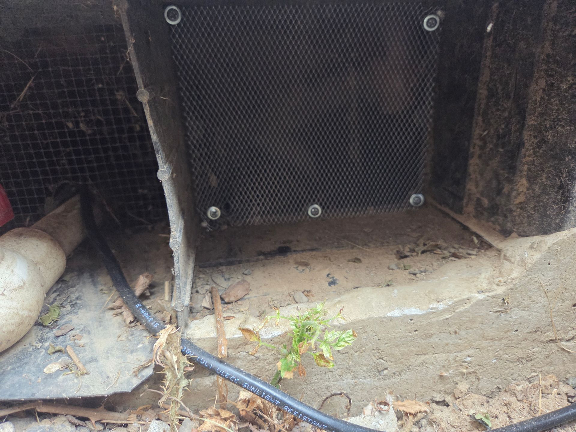 Vent screen repaired in Canby, Oregon to prevent future rodent entry