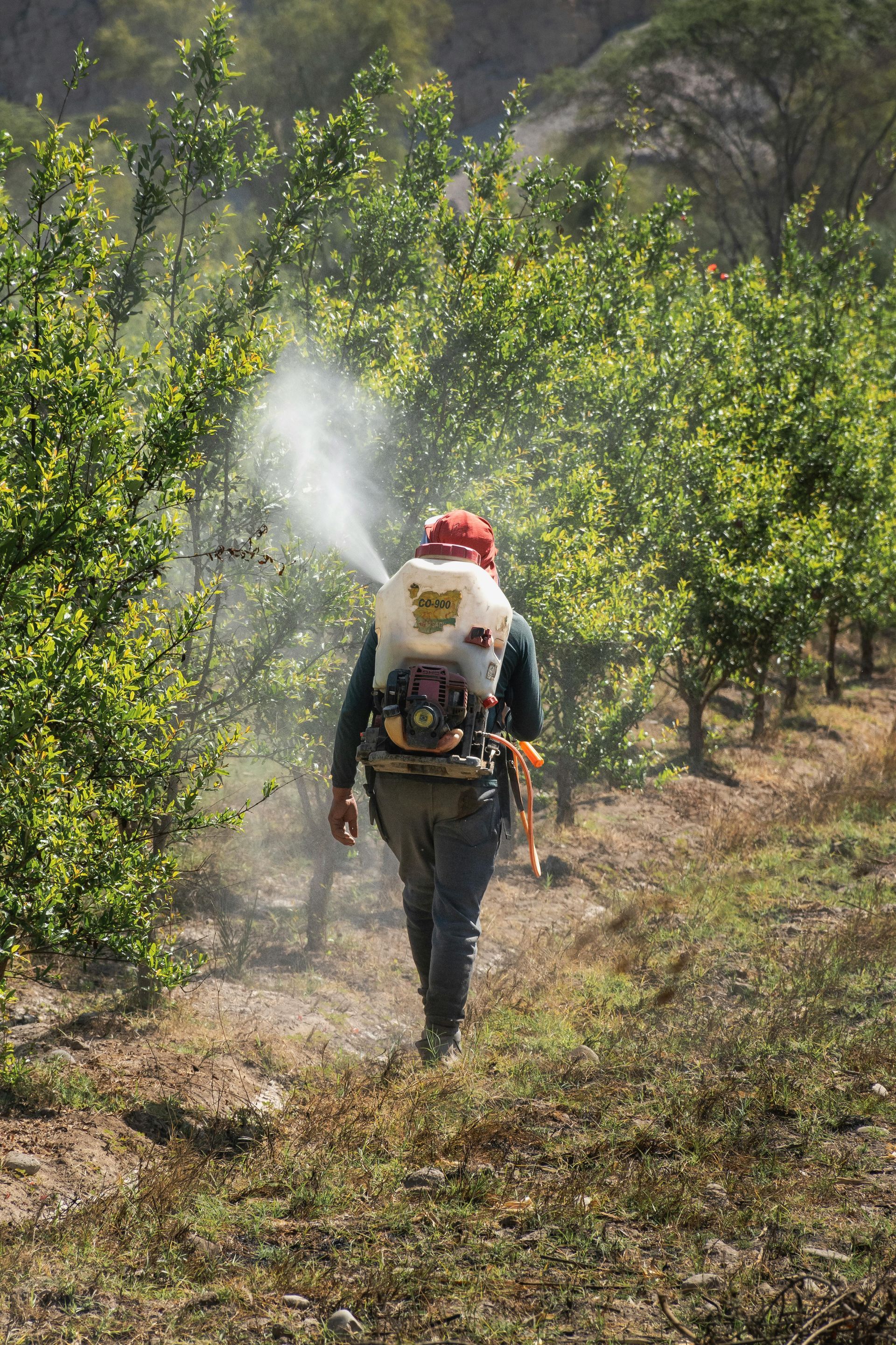 OutLook Pest Management Mosquitoe Services Person mist blowing trees and shrubs