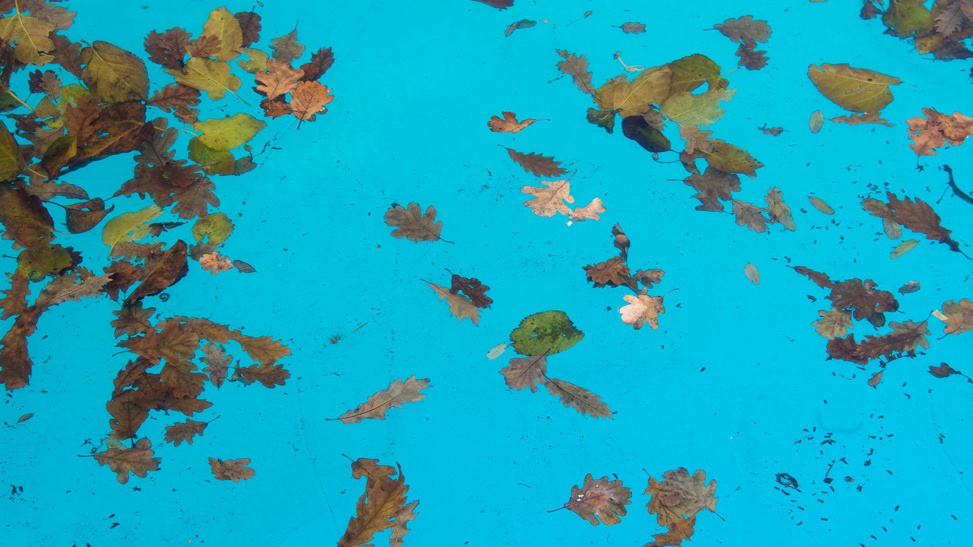 Before Pool Cleaning in California, Leonardtown, Hollywood & Lexington Park, MD