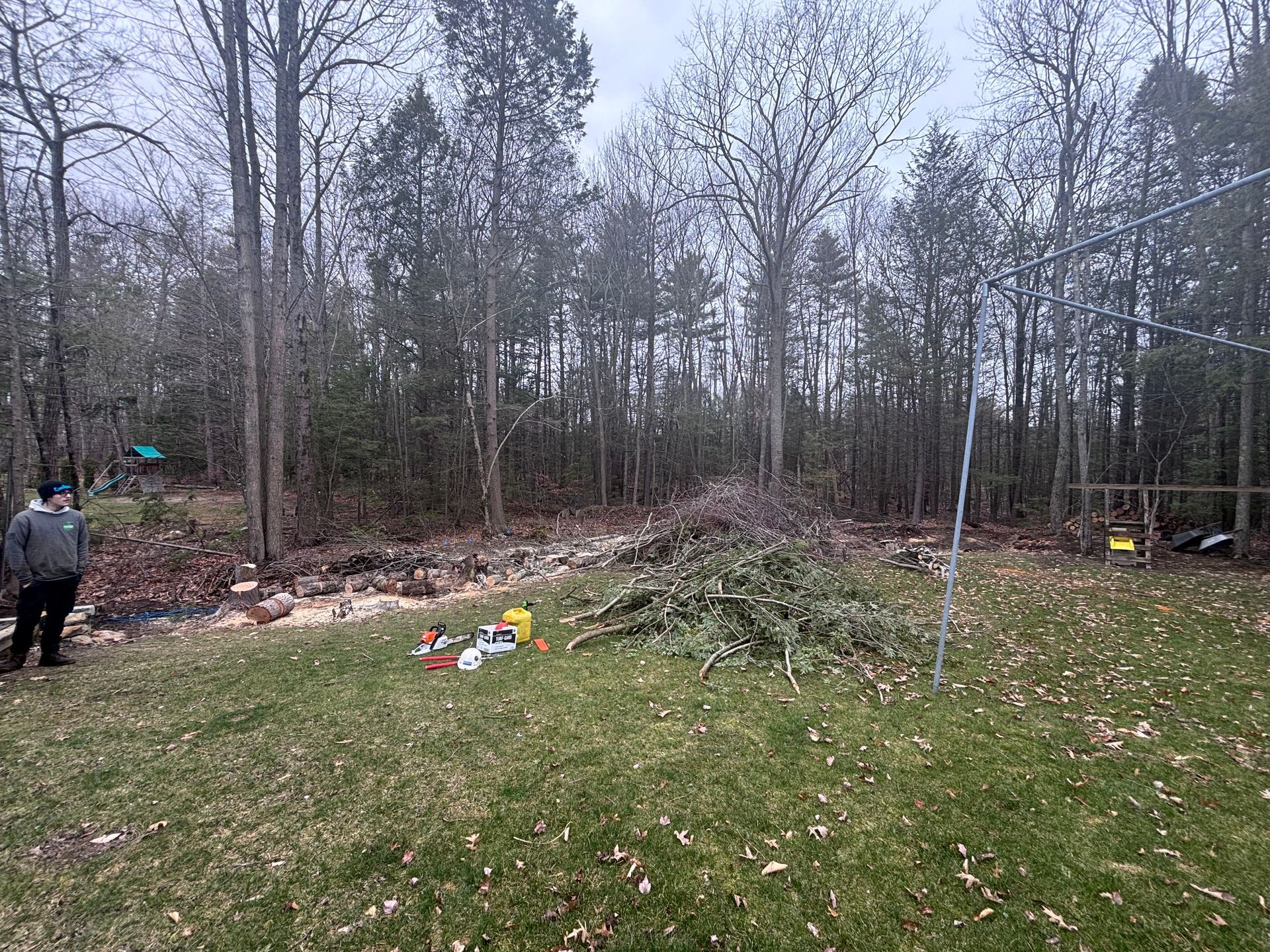 Person near a pile of branches and tools on a grassy lawn with a forest backdrop.