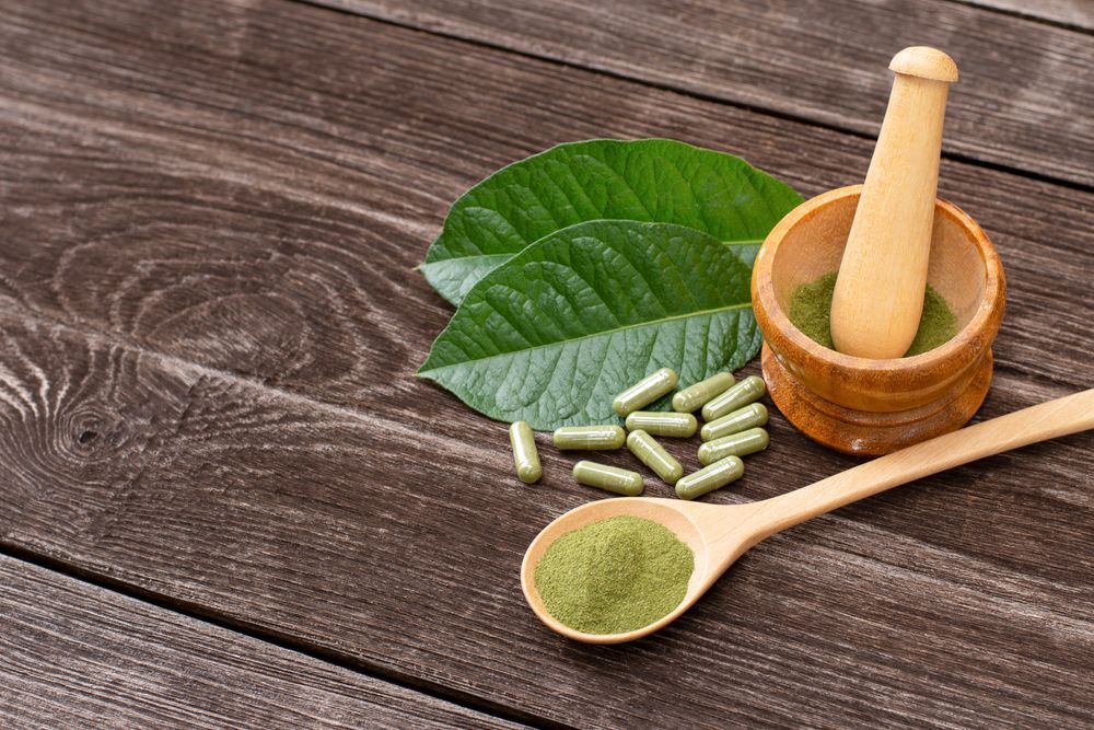Fresh green Kratom leaf 