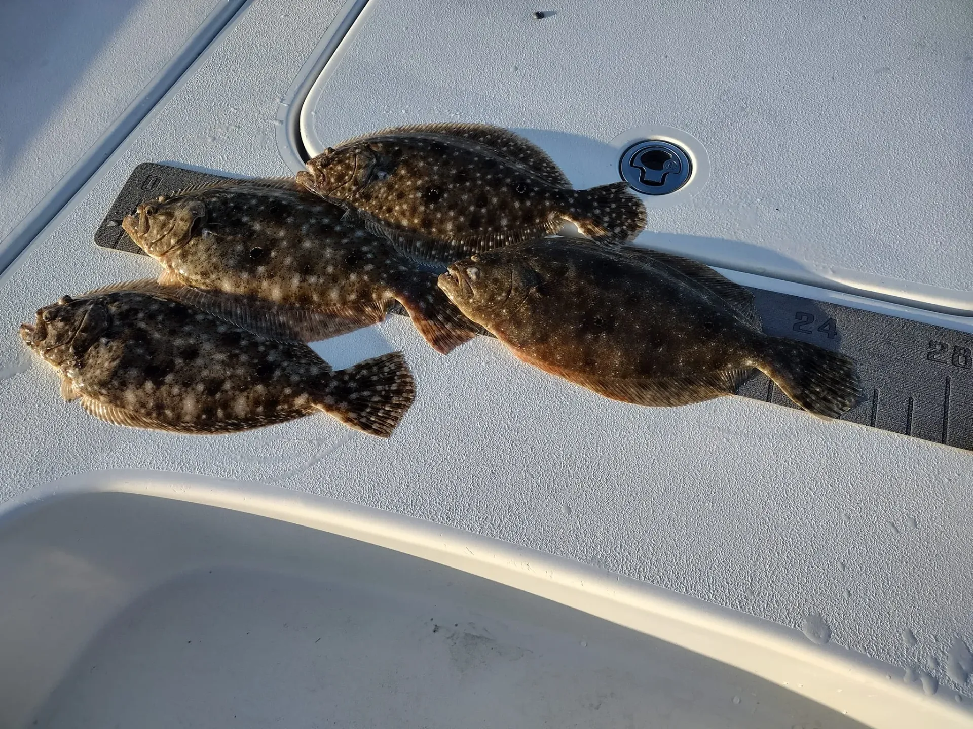 Three dark fish lying on a textured boat deck near a drain hole.