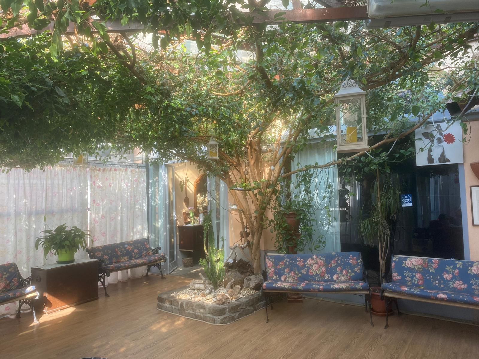 casa martina