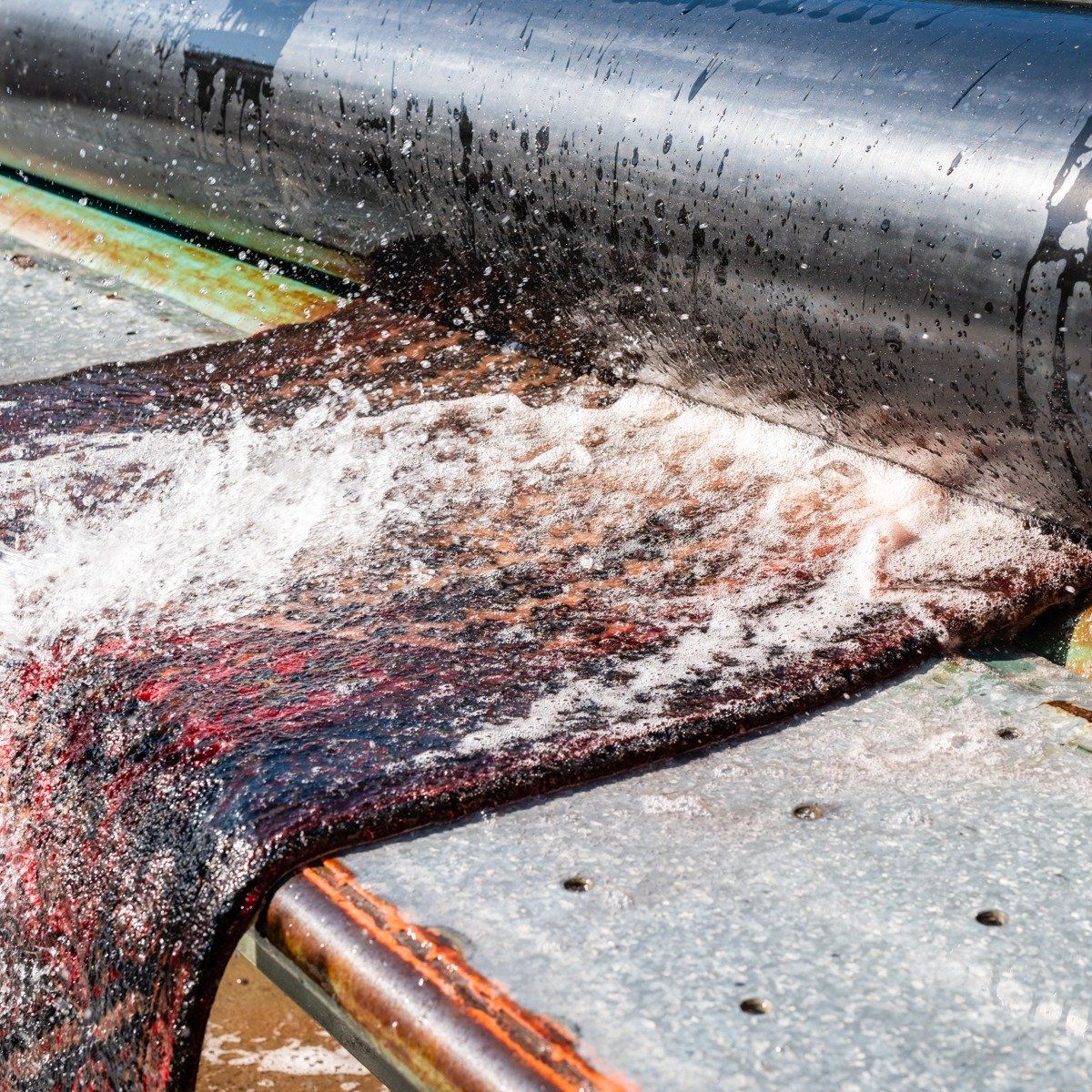 A large, dark, textured mat is being pressed by a metal roller while water sprays over its surface on a perforated table.