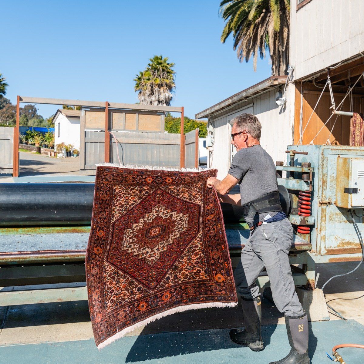 A person in work clothes feeds a dark red, intricately patterned rug into a large, industrial rug-wringing machine.