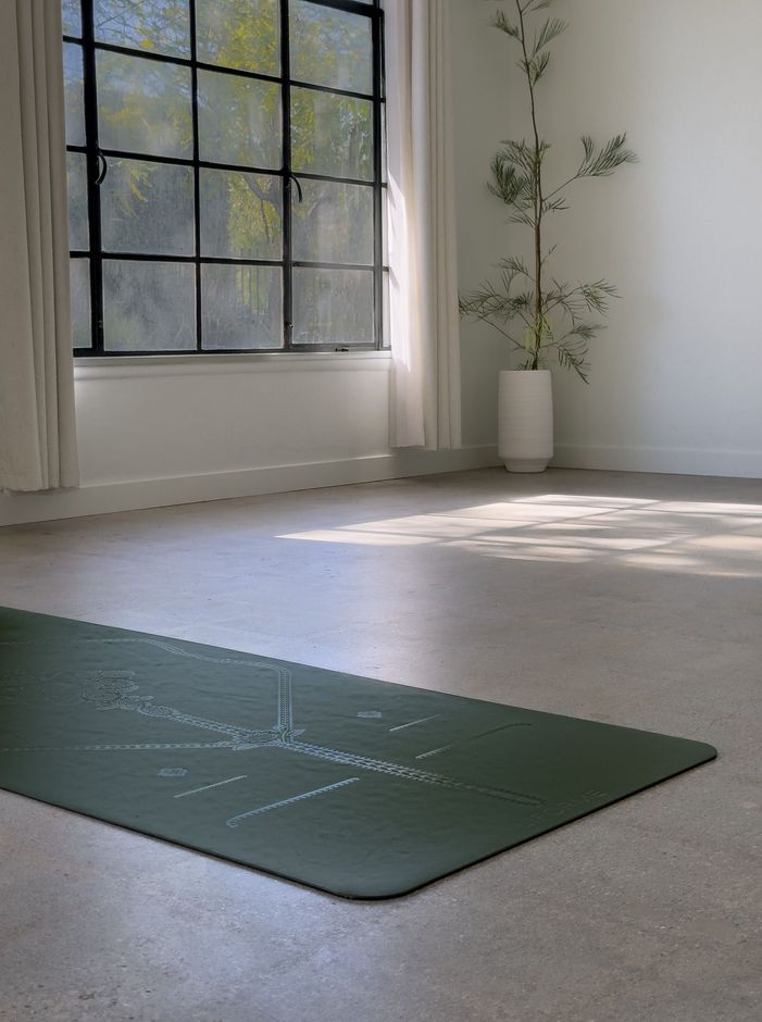 Morning light through a tall paned window at Yoga Shala Collective, falling across the concrete floor to a green yoga mat