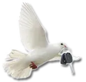 At Peace Locksmith