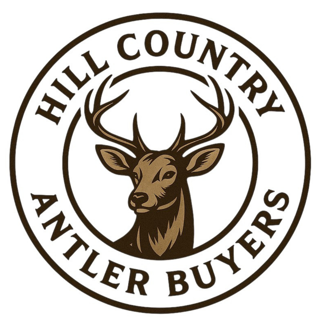 Logo of a deer head with antlers in a circle,