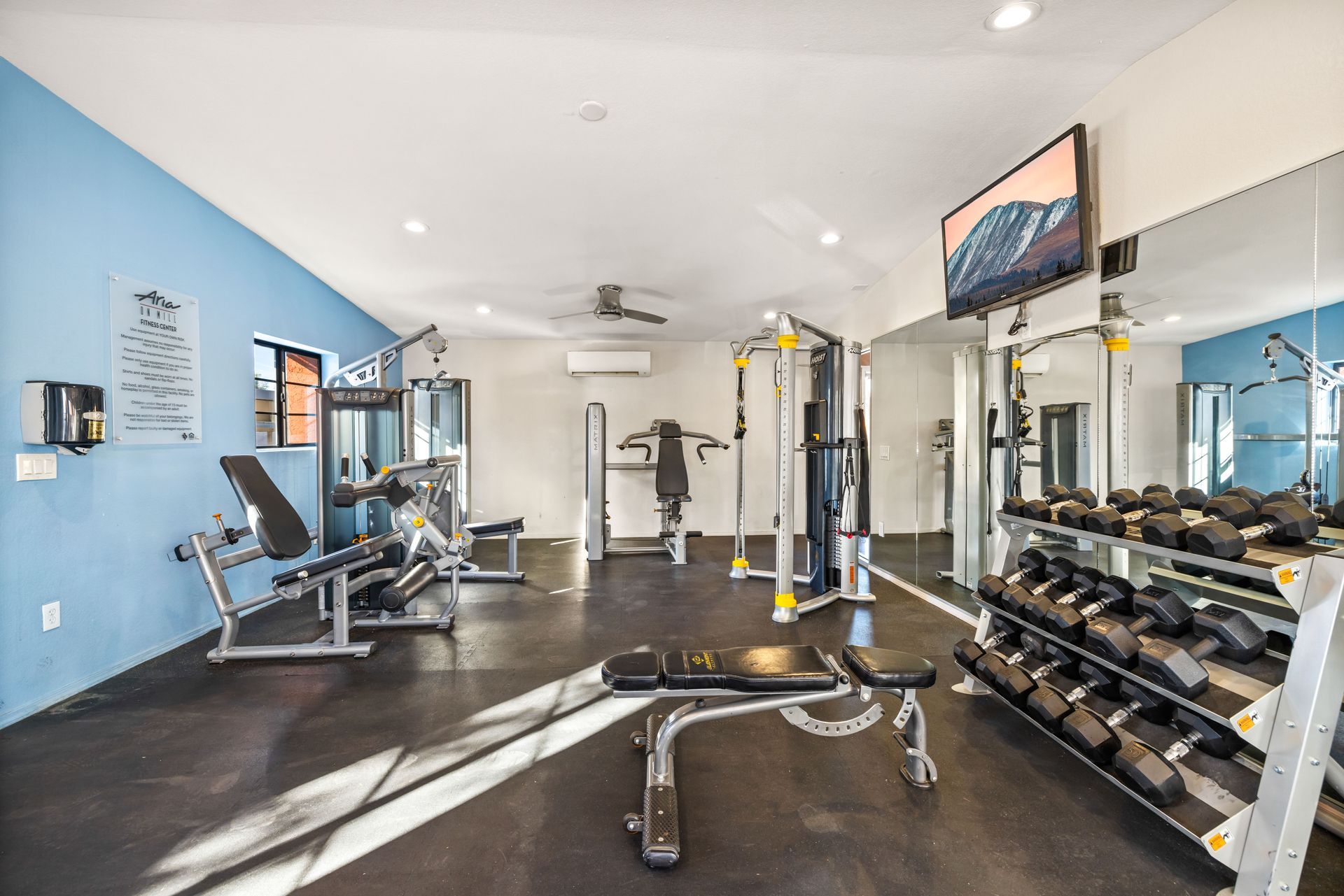 Gym with exercise machines, dumbbells, and weight bench on a black floor with blue and white walls.