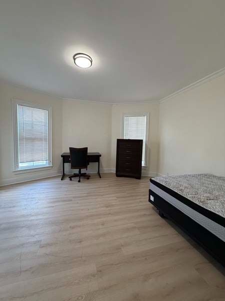 Bright bedroom with bed, desk, chair, dresser, and two windows on light wood floors