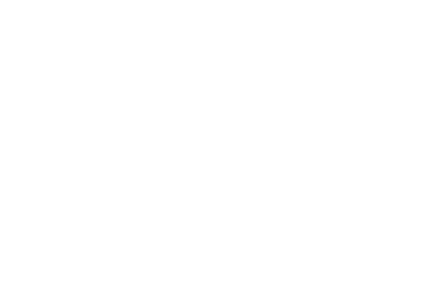 Michael Alarid criminal defense attorney in phoenix logo