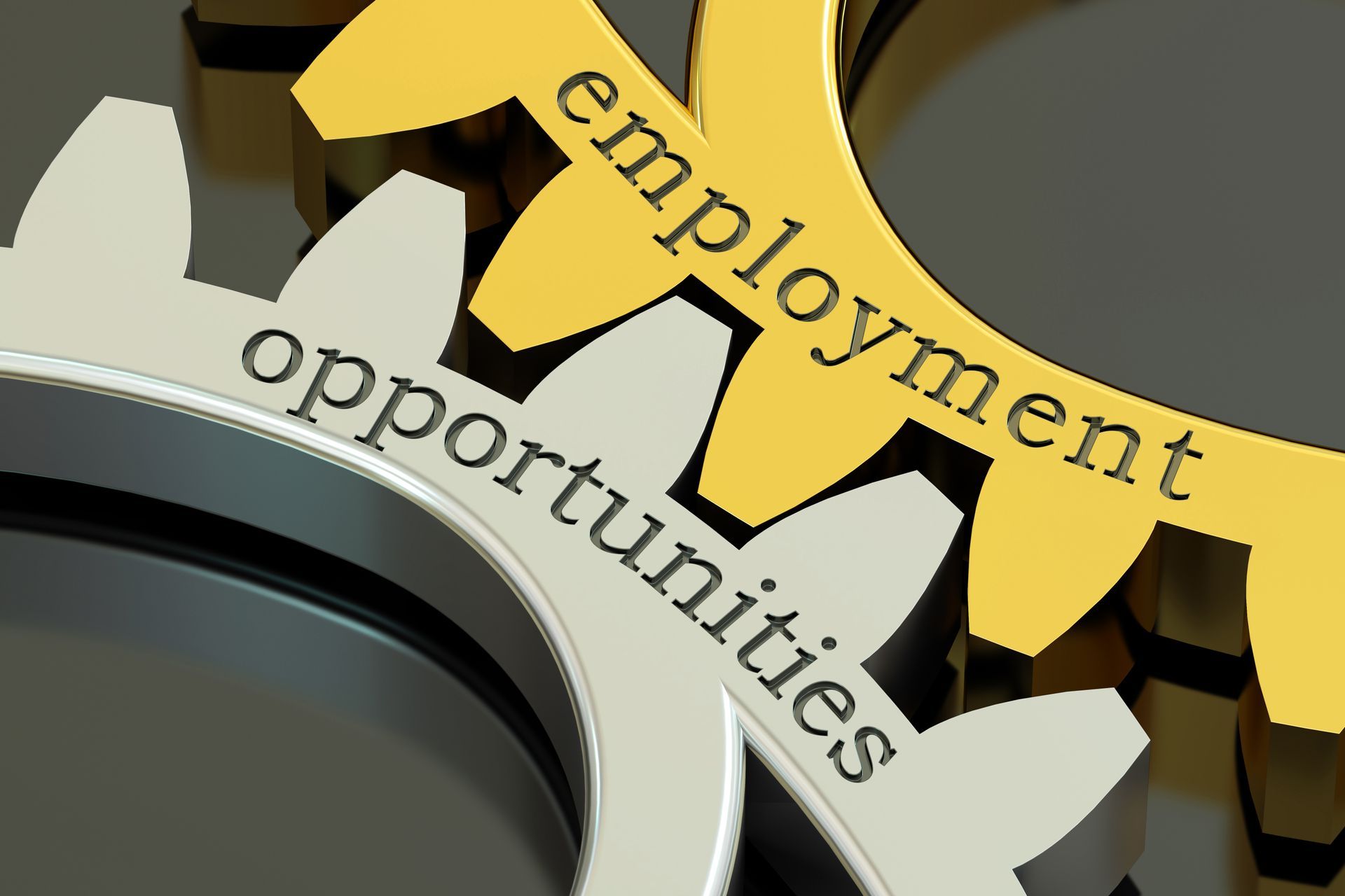 employment opportunities after dismissed criminal charges