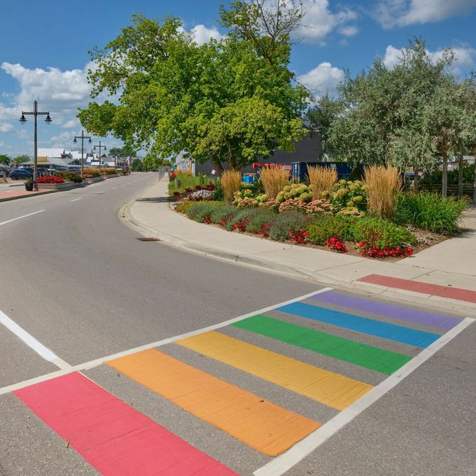 Rainbow-painted crosswalk on a sunny street beside landscaped flowers and trees.