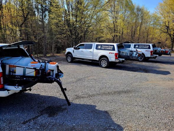 Two white trucks are parked next to each other in a parking lot.