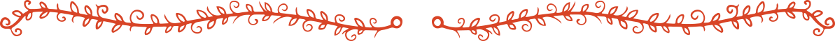 A thin, wavy, horizontal line drawn in reddish-brown ink on a white background.