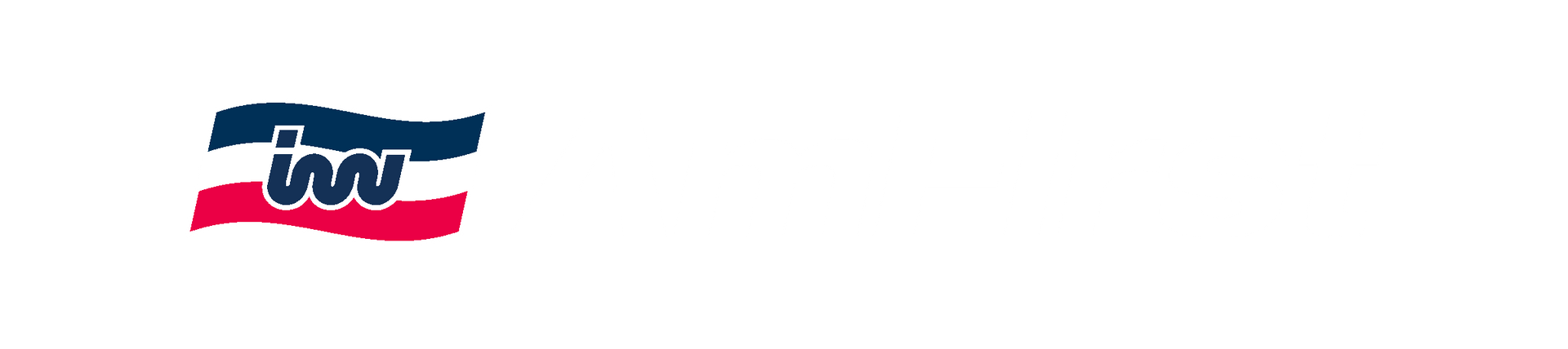 IW logo featuring the letters 