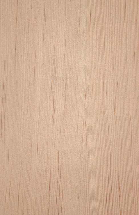 Oak Veneered Plywood