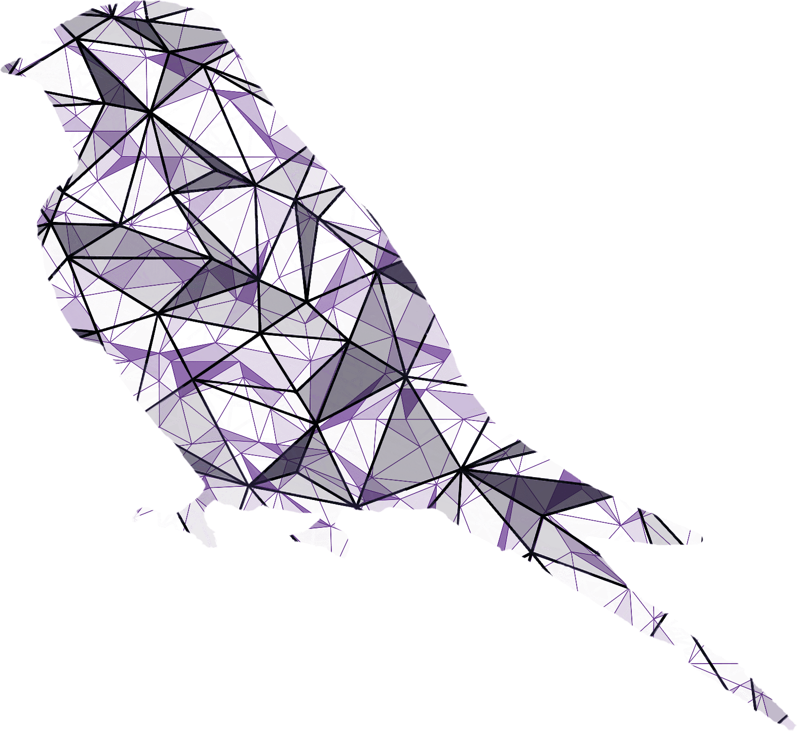 Swallow Wines Geometric Bird