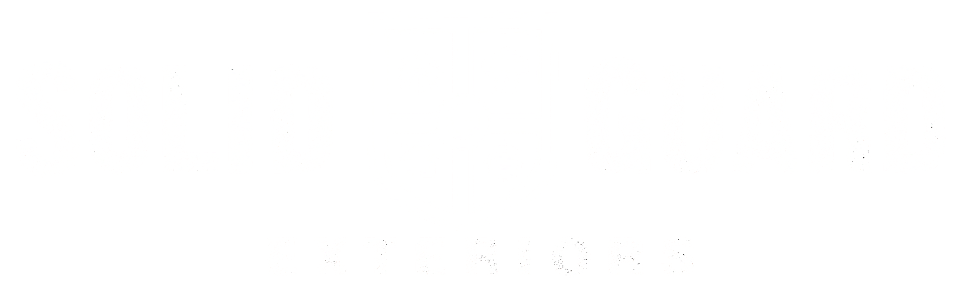 Solid Guard Exterior logo